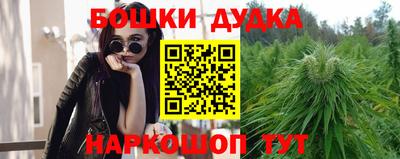 мяу мяу мука Лесосибирск