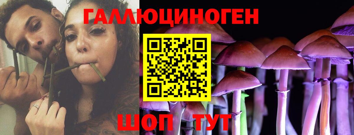 Псилоцибиновые грибы мухоморы  Вход с VPN  Ефремов  Галлюциногенные грибы Psilocybine cubensis 